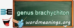 WordMeaning blackboard for genus brachychiton